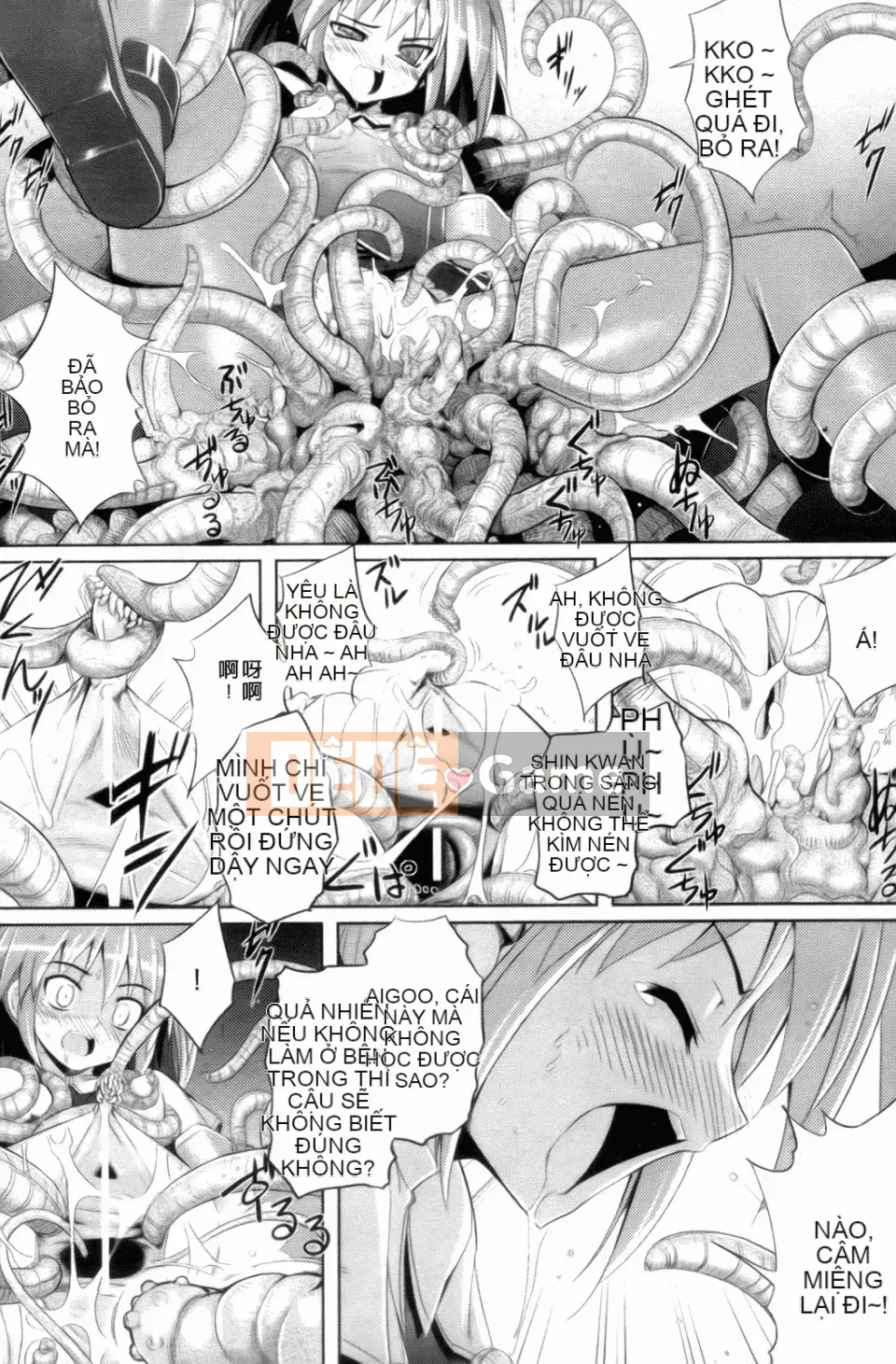 [Tạp chí rau vô vọng] Cảm động tình yêu