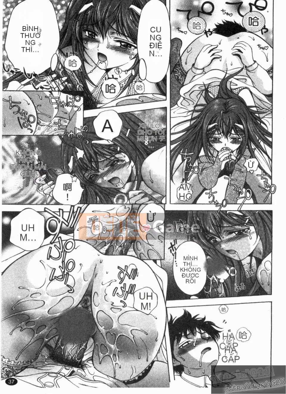 [Asakura Mitsuru] Cái nhìn gọn gàng