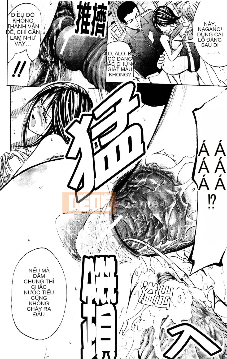 [Kikuichi Monji] Nhà phân tích