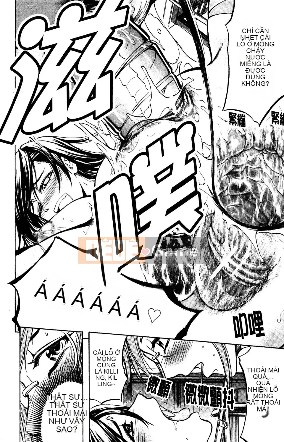 [Kikuichi Monji] Nhà phân tích