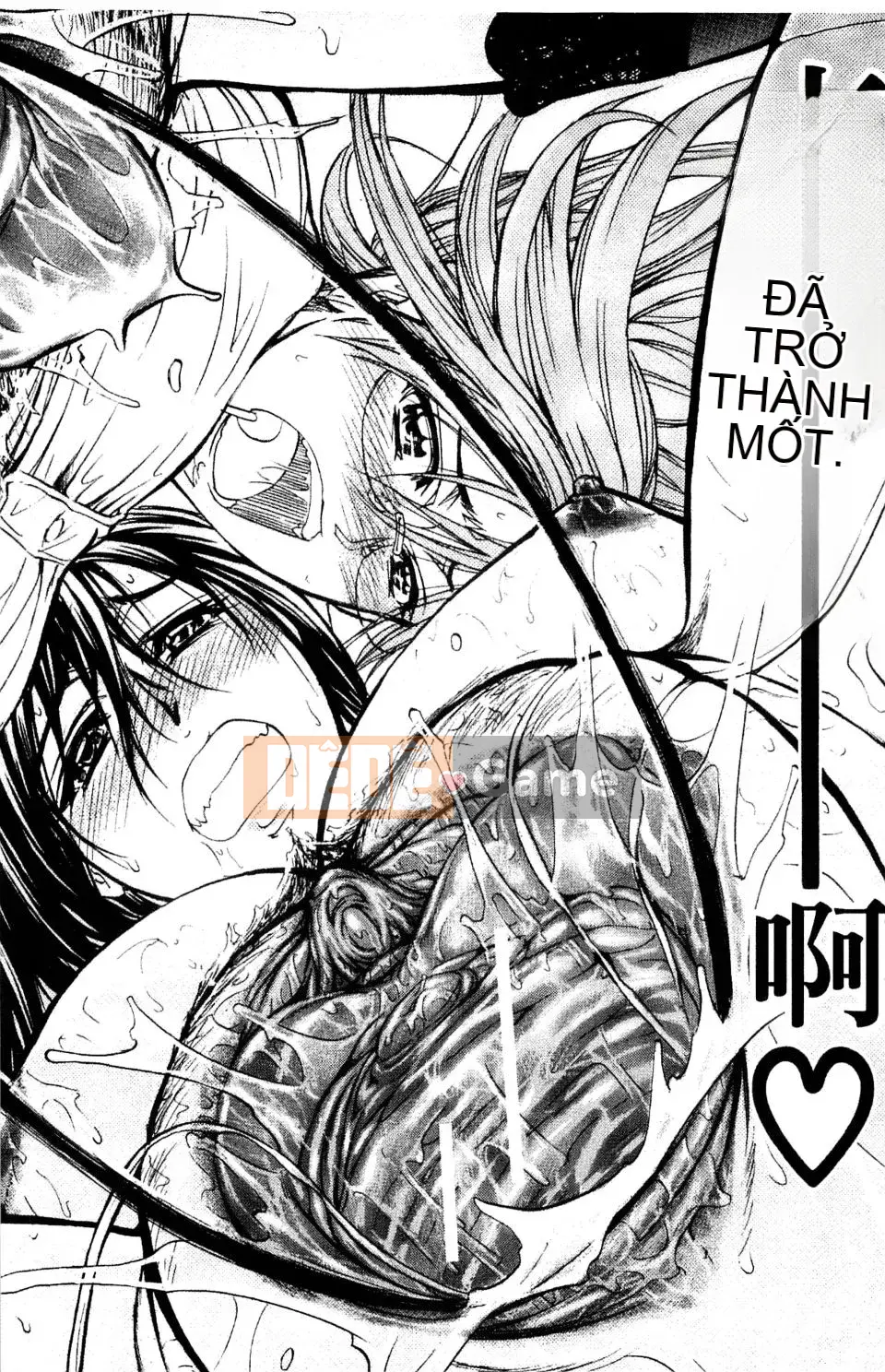 [Kikuichi Monji] Nhà phân tích