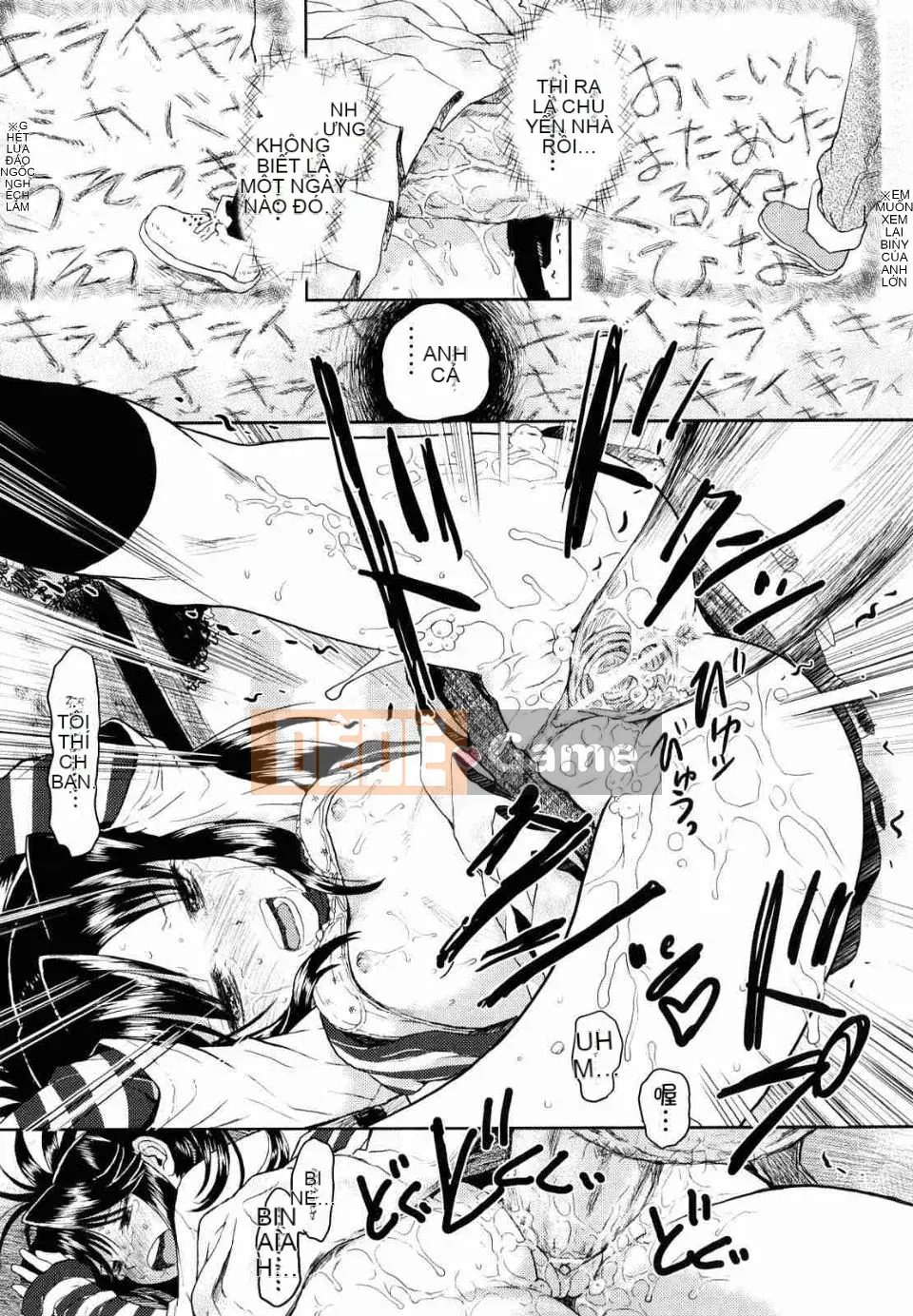 [Minasuki Popuri] Trình thu thập thông tin