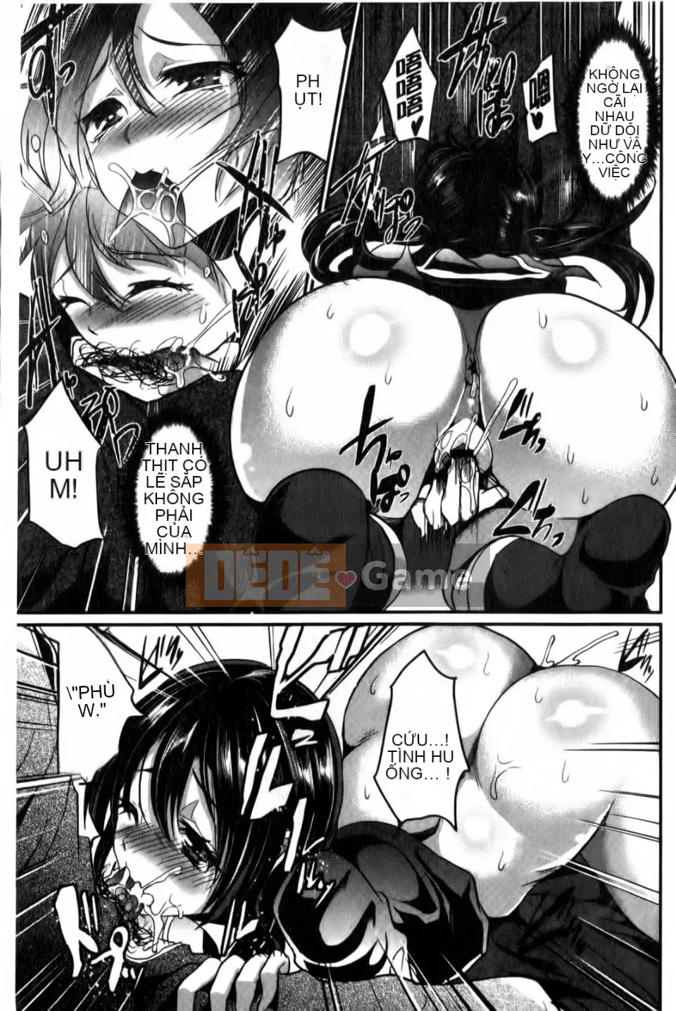 [Shimaji] Chó lộn ngược