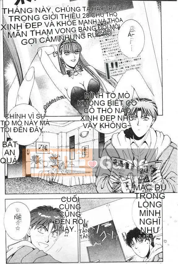 [Grassland Konggui] Oh-dance Bunny