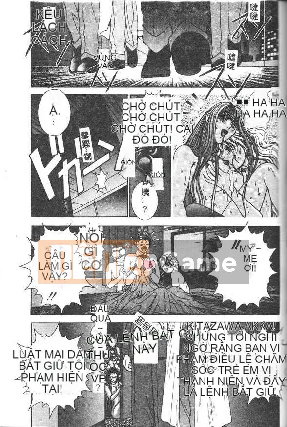 [Grassland Konggui] Oh-dance Bunny