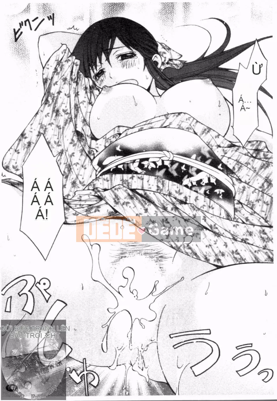 [Hiyamashuri] nở vào ban đêm