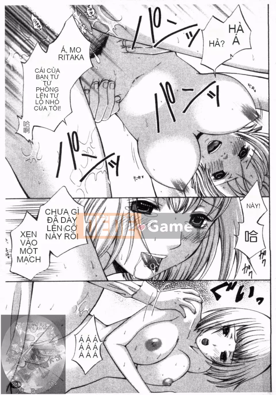 [Hiyamashuri] nở vào ban đêm