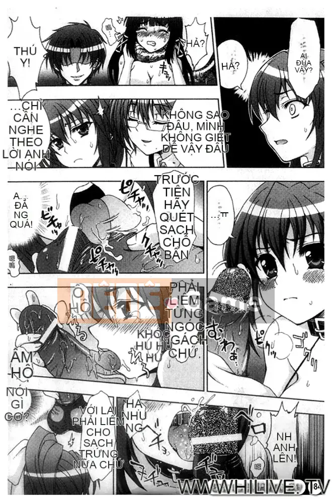 [chaccu] Inyouchuu ~Ryoushoku Gakuen Taima Roku~