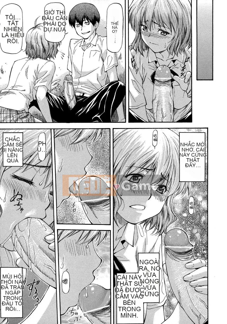 [Flow Book] Cô gái NTR