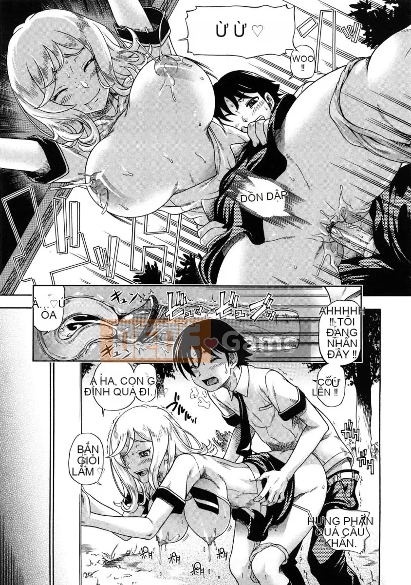 [Fukudada] Mật ong vàng