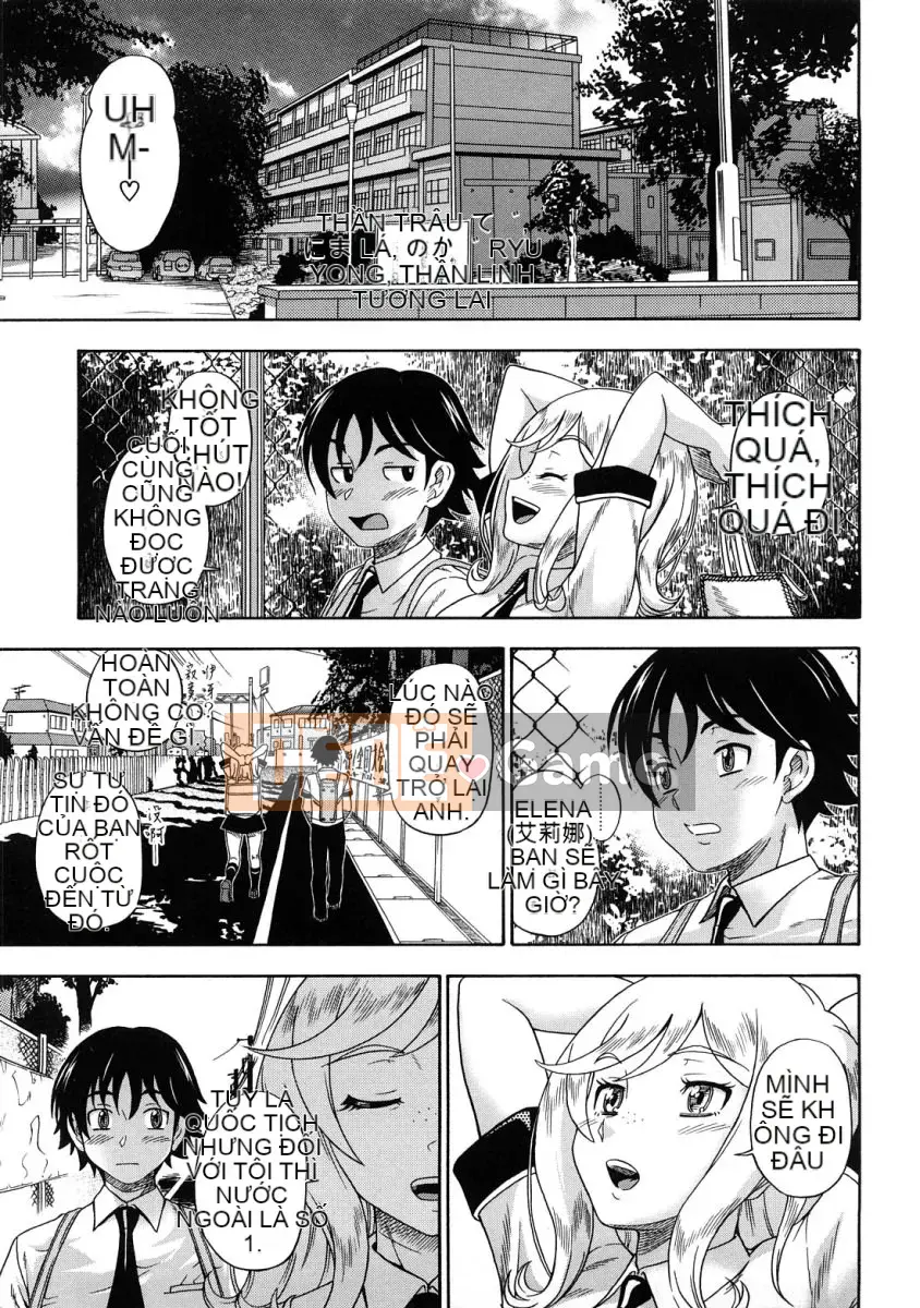 [Fukudada] Mật ong vàng