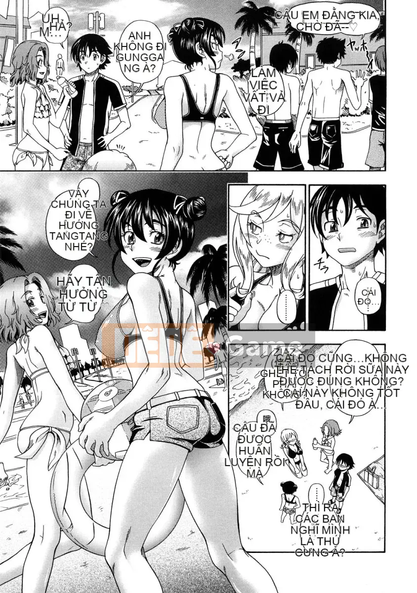 [Fukudada] Mật ong vàng