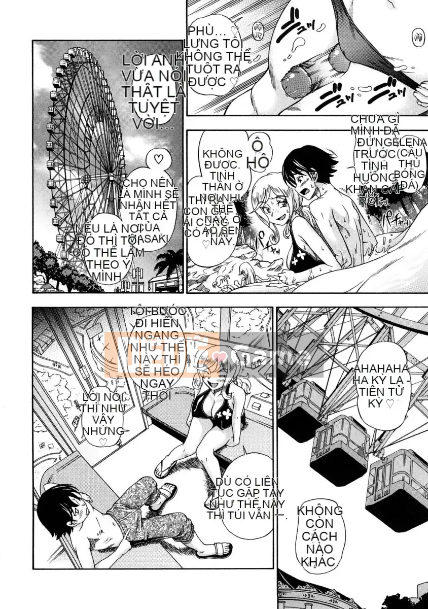 [Fukudada] Mật ong vàng