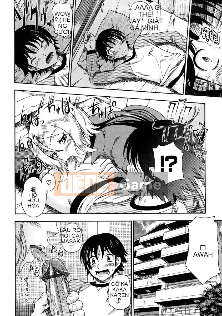 [Fukudada] Mật ong vàng