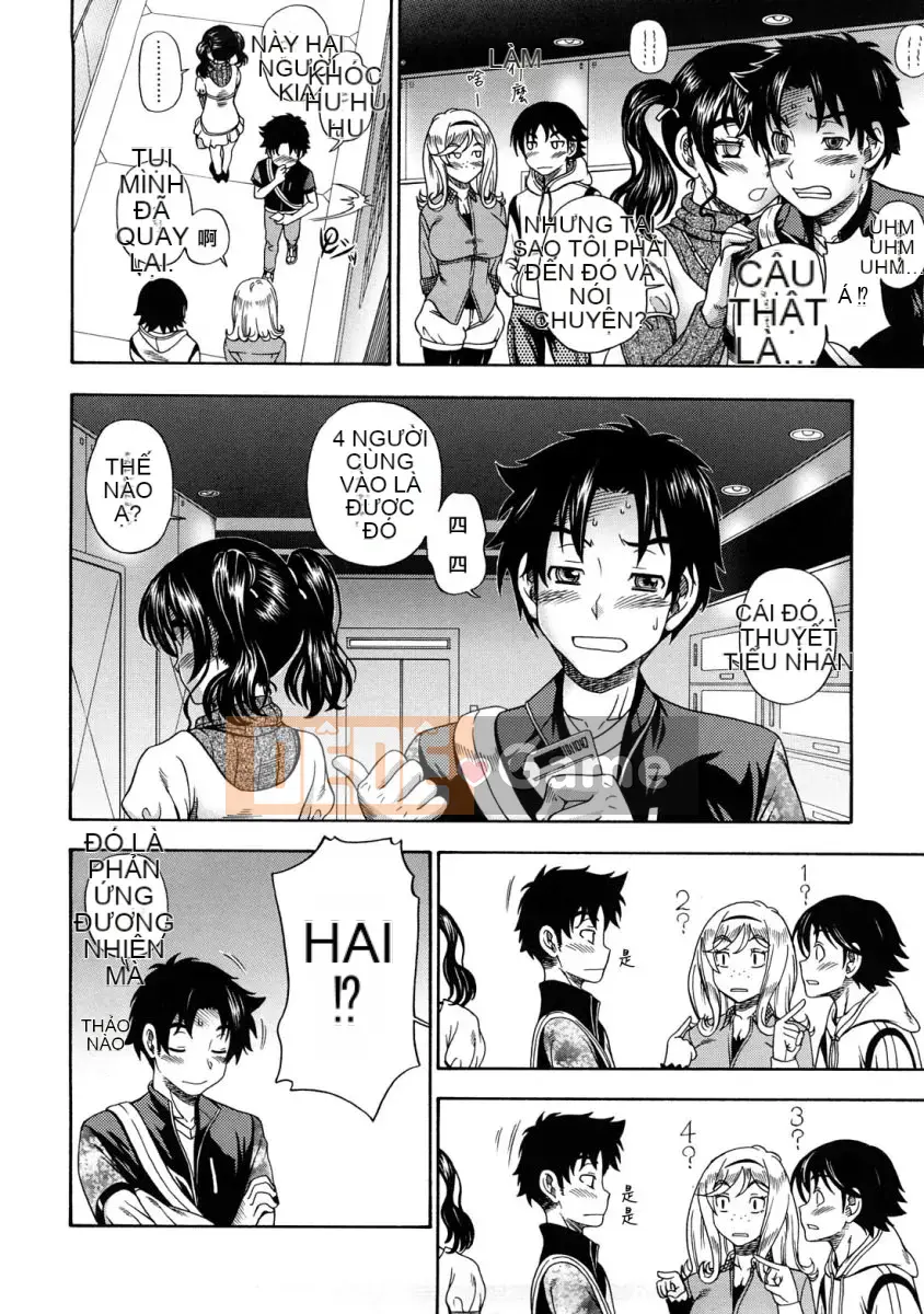 [Fukudada] Mật ong vàng