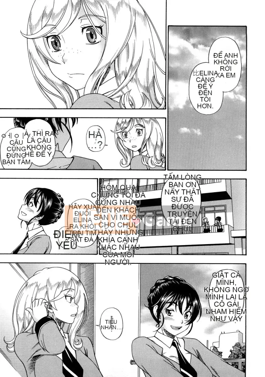 [Fukudada] Mật ong vàng