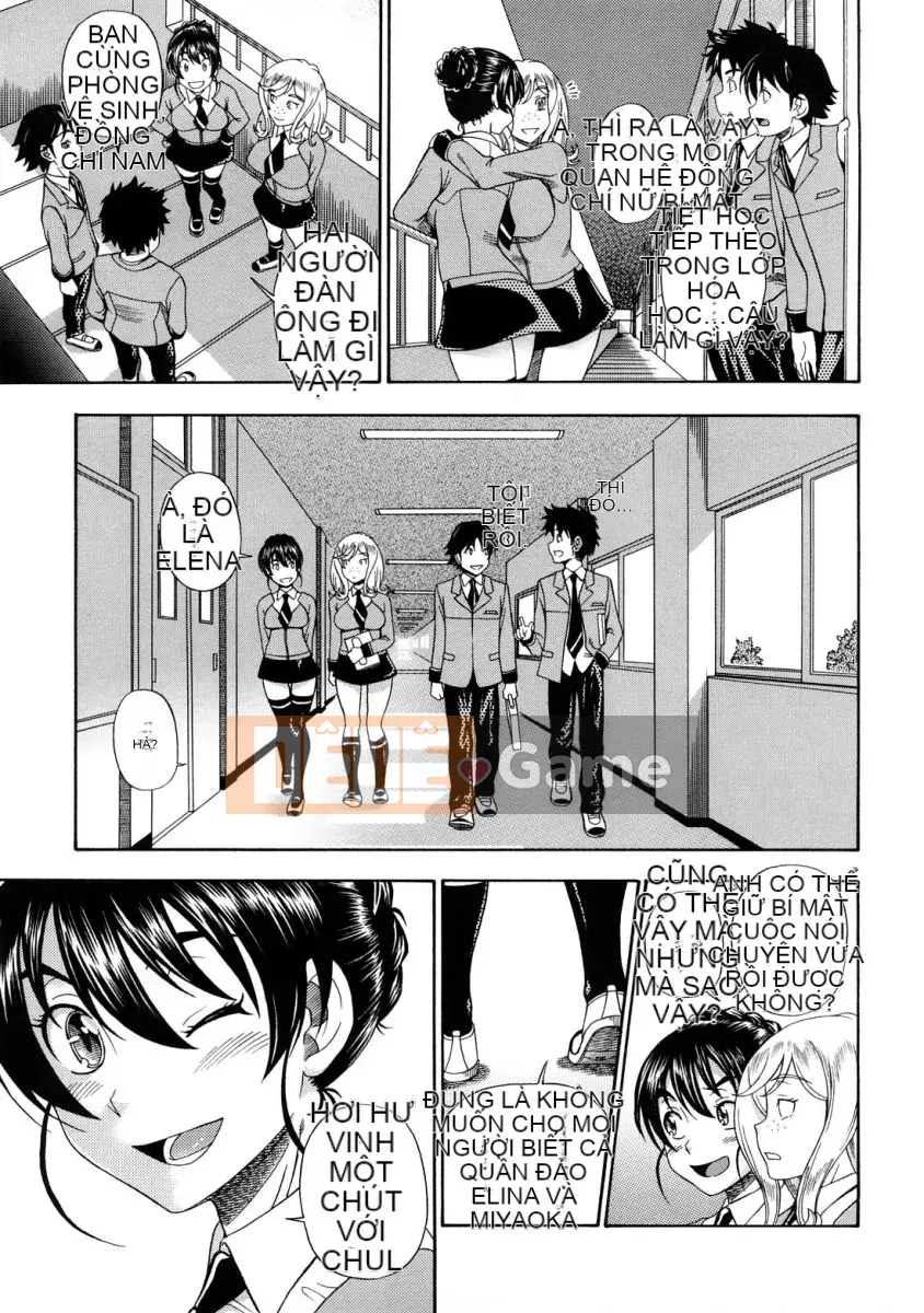 [Fukudada] Mật ong vàng