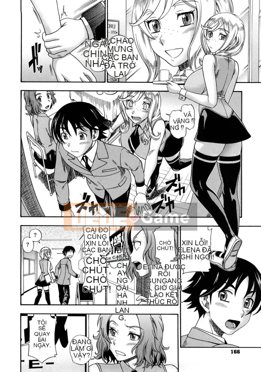 [Fukudada] Mật ong vàng