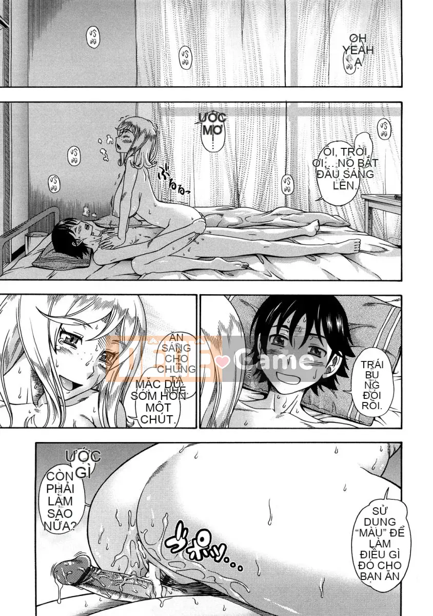 [Fukudada] Mật ong vàng