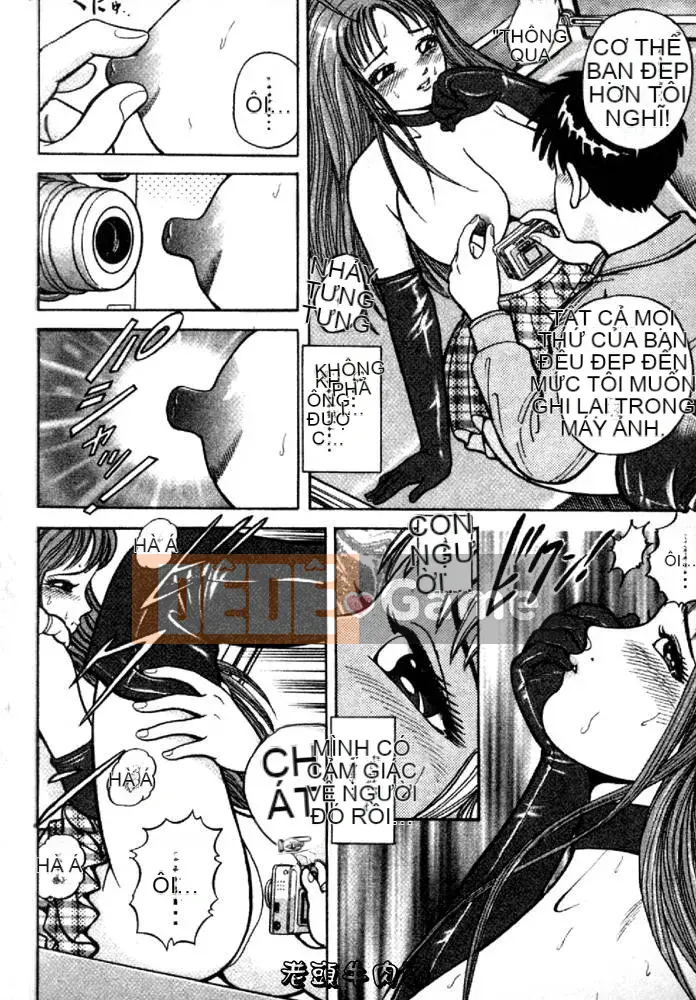 [Sakura no Kaga] Quần thiên thần