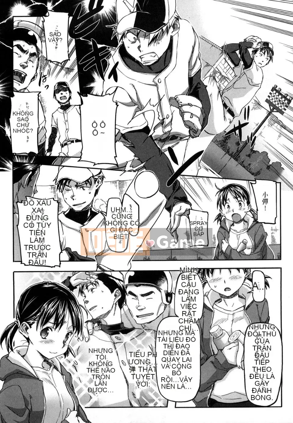 [Sameda Koban] Bánh hồng anh đào