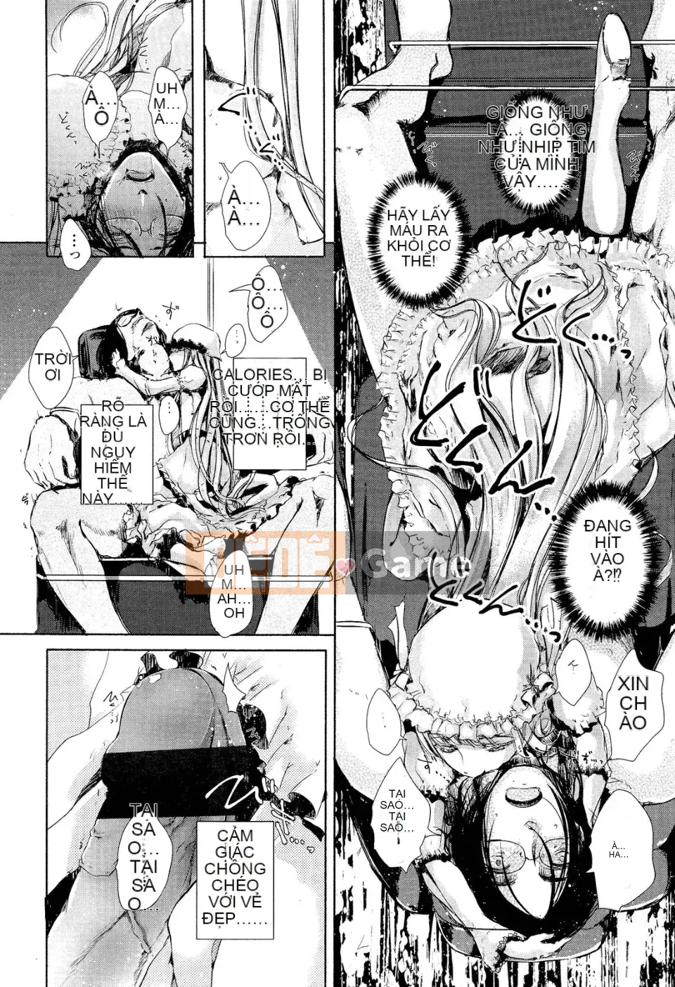 [Tuyển tập] Girls for M Vol.2