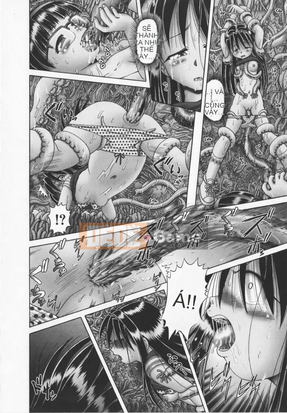 [A Zero] Secret Honey Garden Tentacle Insect Hell Scroll 2 First Press Phiên bản đặc biệt giới hạn