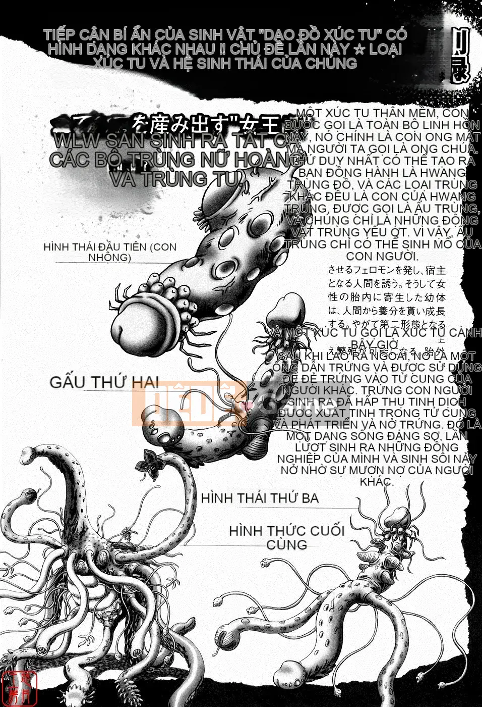 [A Zero] Secret Honey Garden Tentacle Insect Hell Picture Scroll