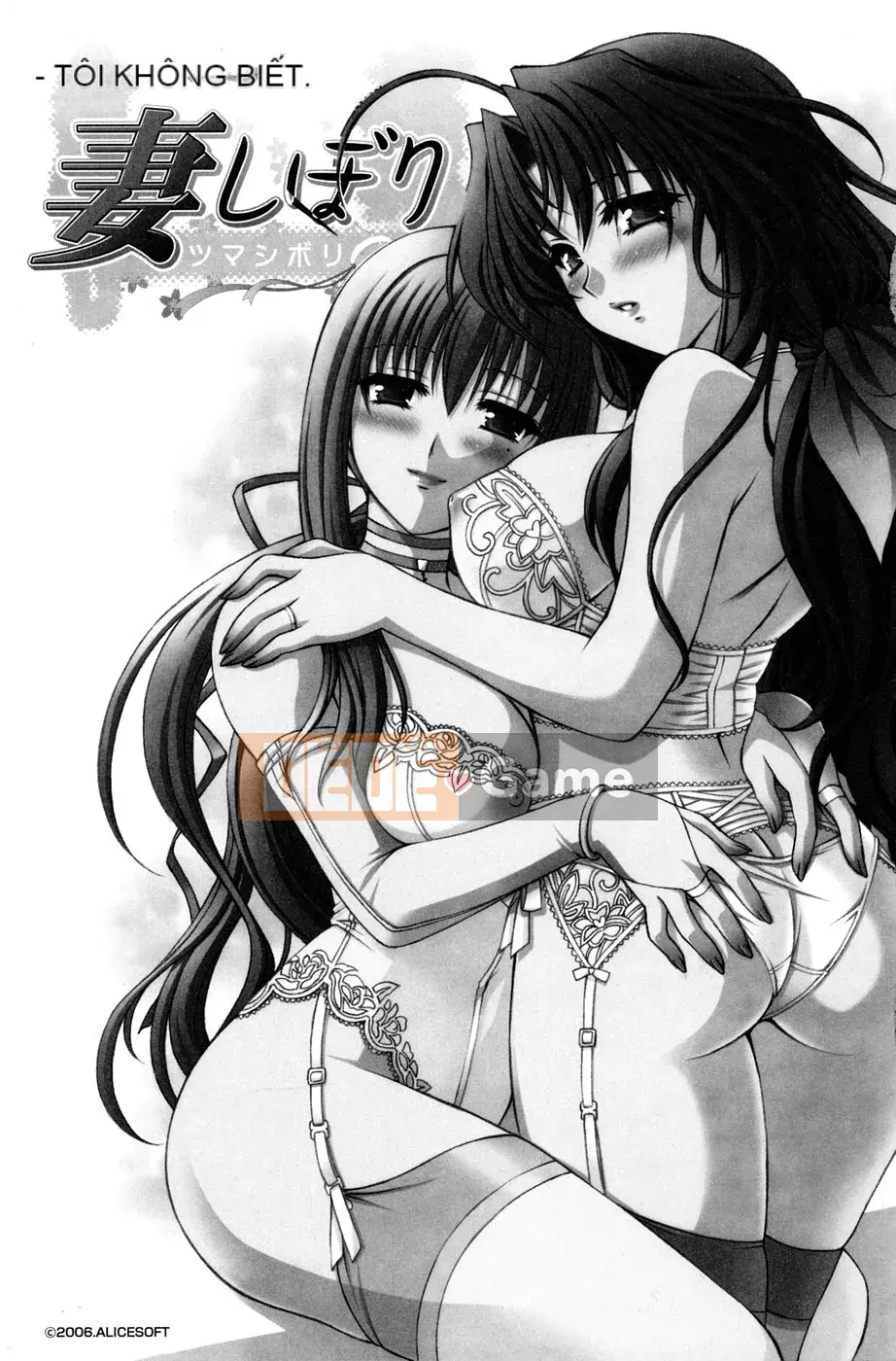 [Tuyển tập] Tuyển tập Tsuma Shibori