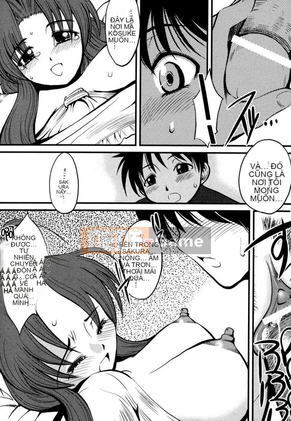 [Tuyển tập] Tuyển tập Tsuma Shibori