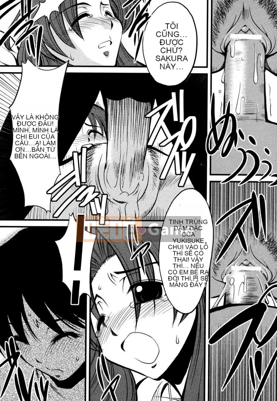 [Tuyển tập] Tuyển tập Tsuma Shibori