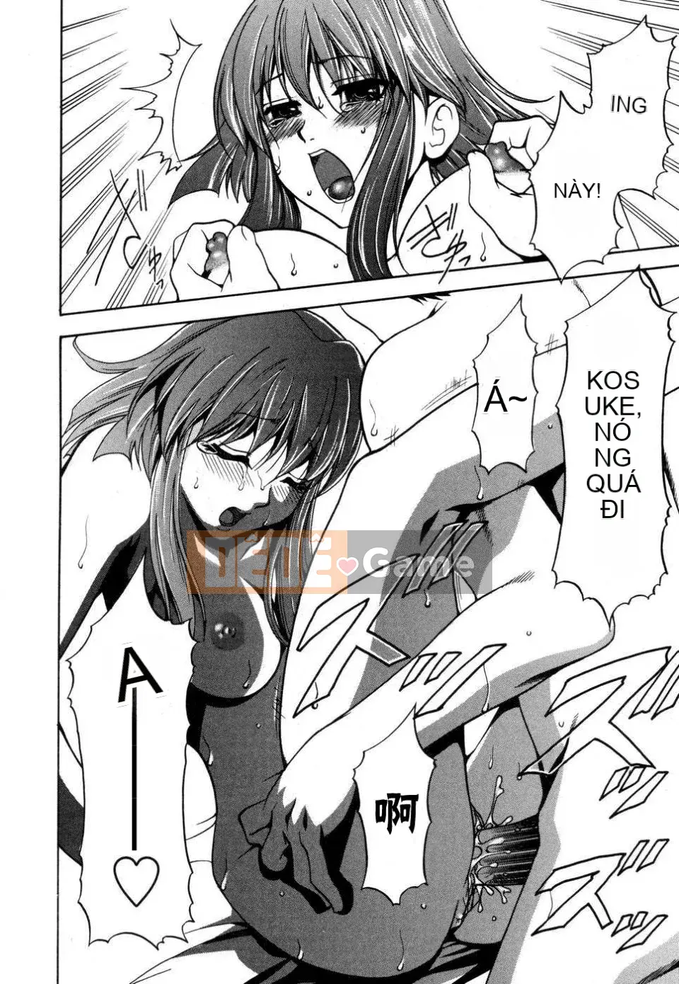 [Tuyển tập] Tuyển tập Tsuma Shibori