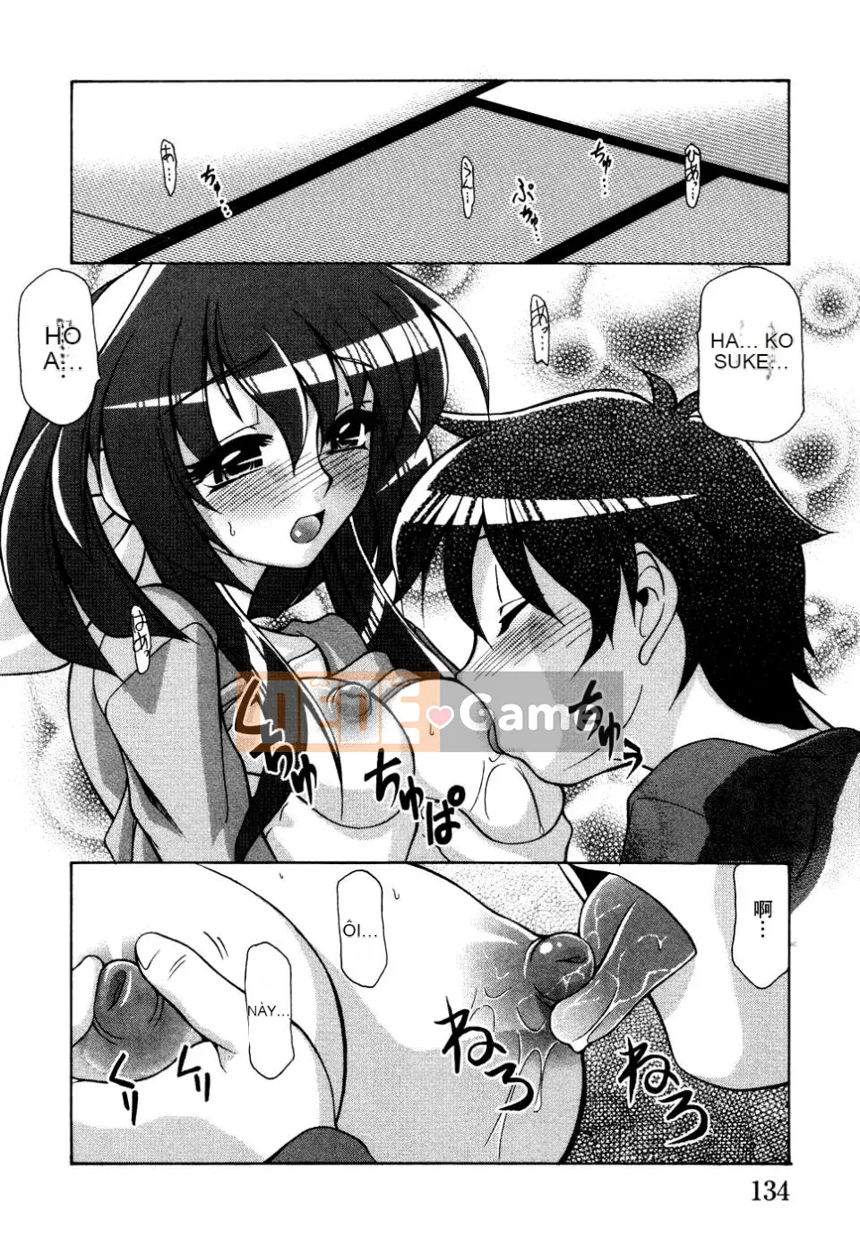 [Tuyển tập] Tuyển tập Tsuma Shibori