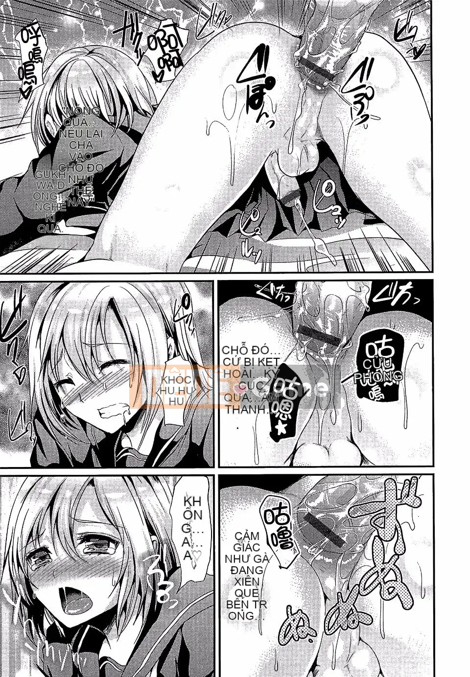 [Shimaji] Thu thập Shonen