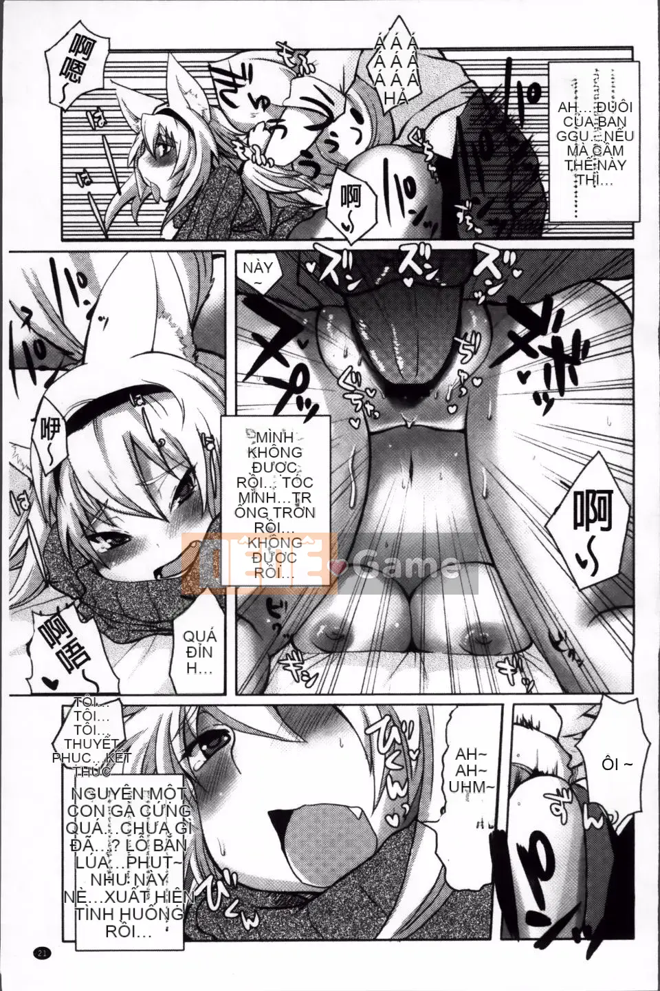 [Shinobe] Hãy hồi sinh niềm tin của bạn!