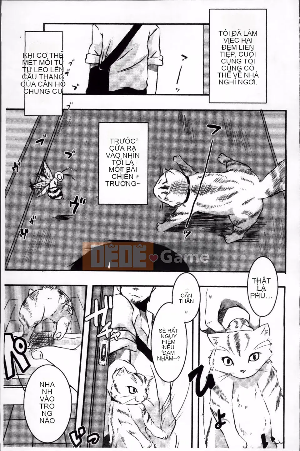 [Shinobe] Hãy hồi sinh niềm tin của bạn!