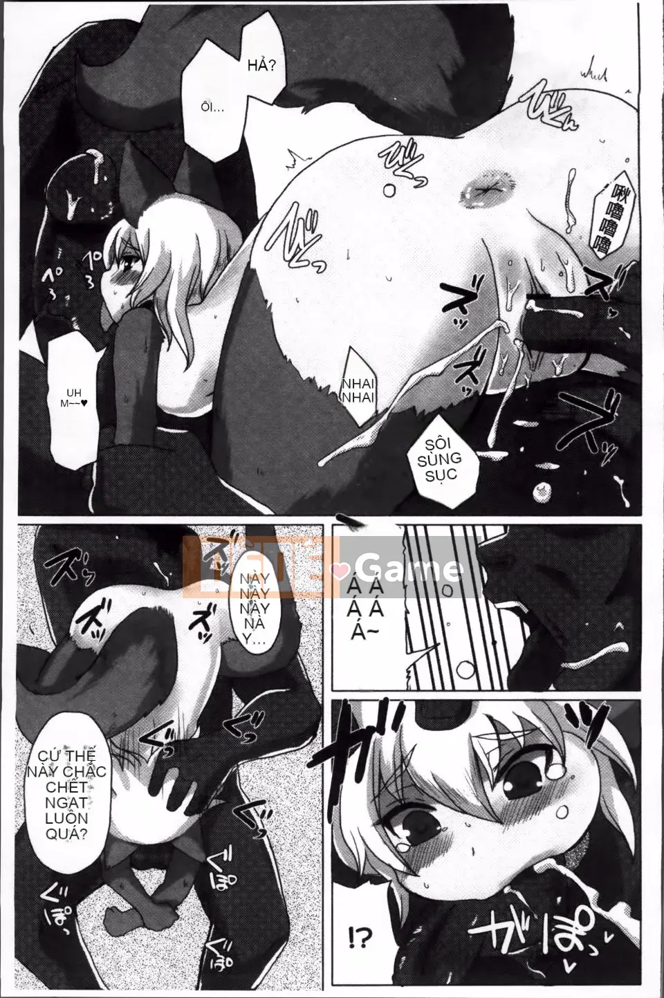 [Shinobe] Hãy hồi sinh niềm tin của bạn!