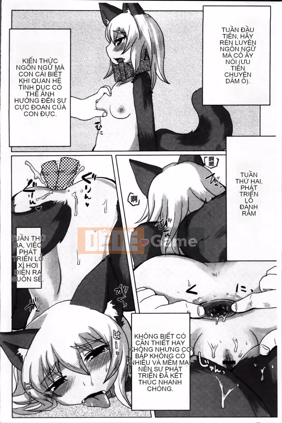 [Shinobe] Hãy hồi sinh niềm tin của bạn!