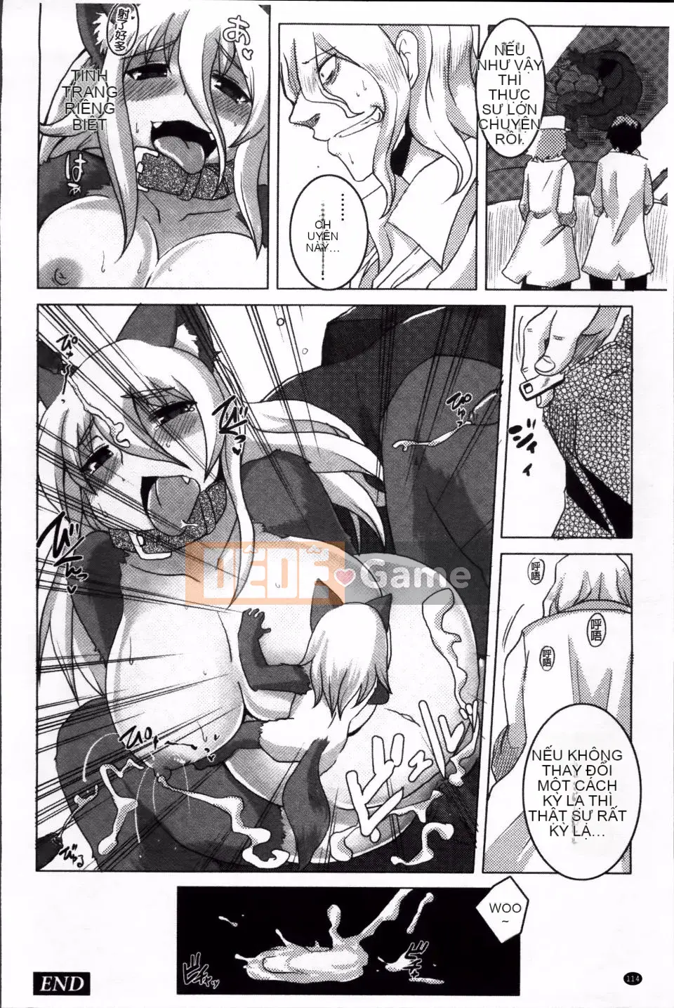 [Shinobe] Hãy hồi sinh niềm tin của bạn!