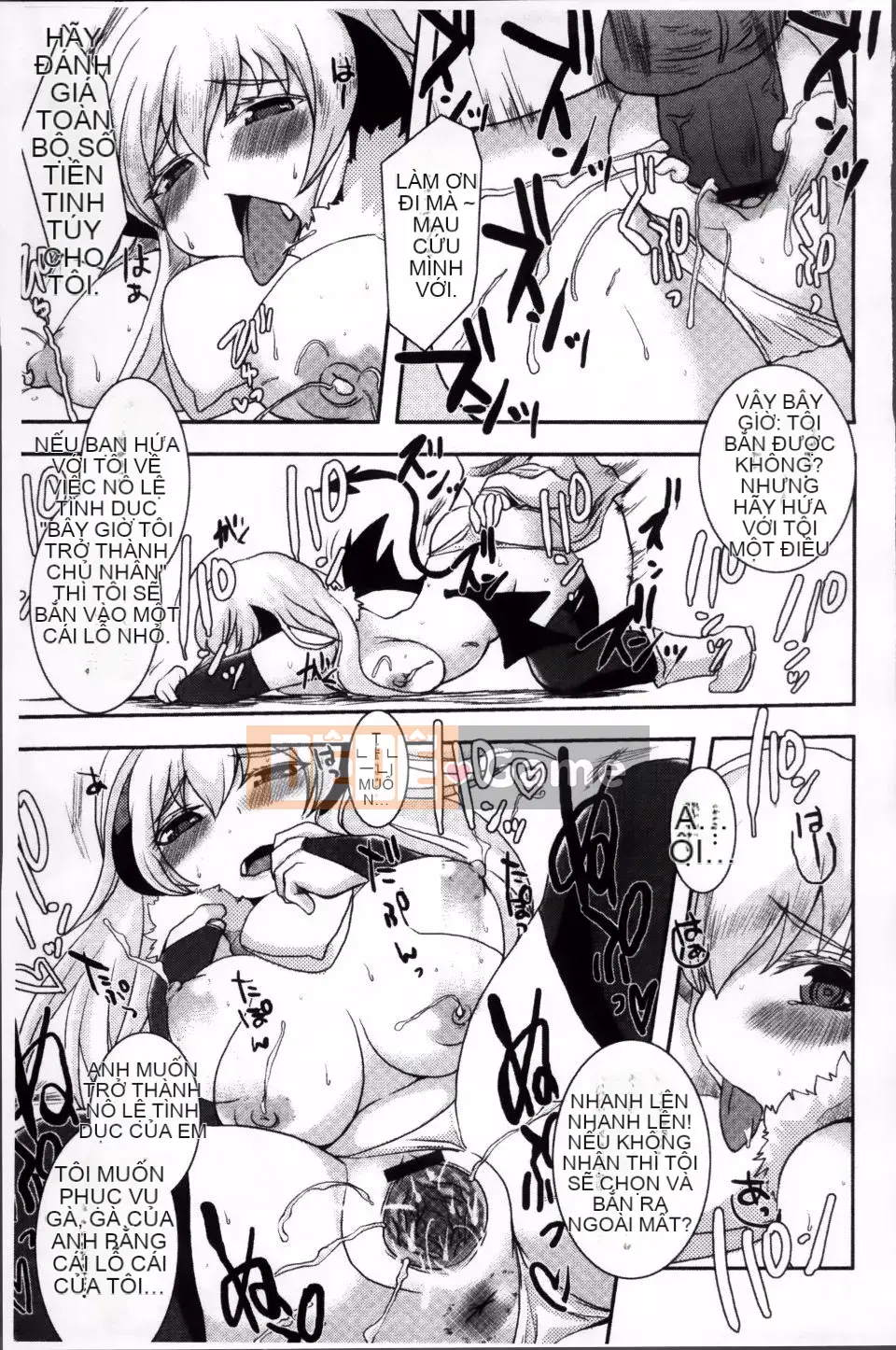 [Shinobe] Hãy hồi sinh niềm tin của bạn!