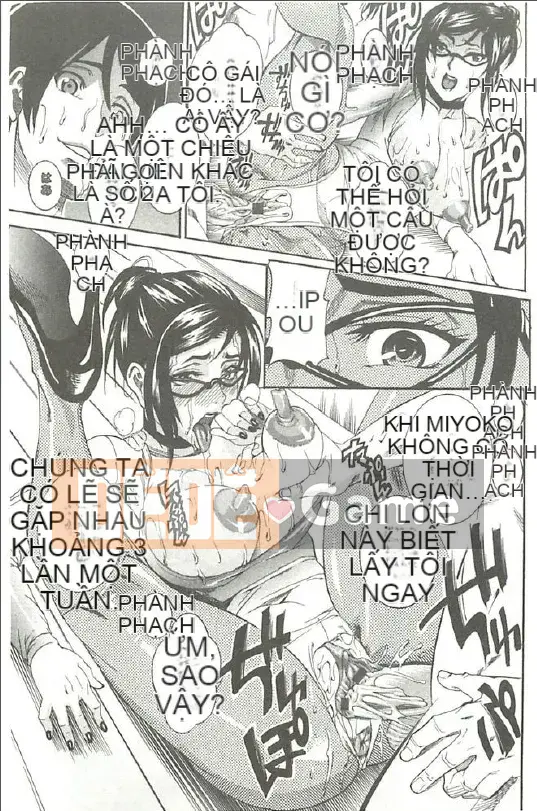 [Tamaki] Xoài Hojun