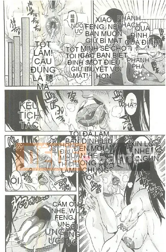 [Tamaki] Xoài Hojun