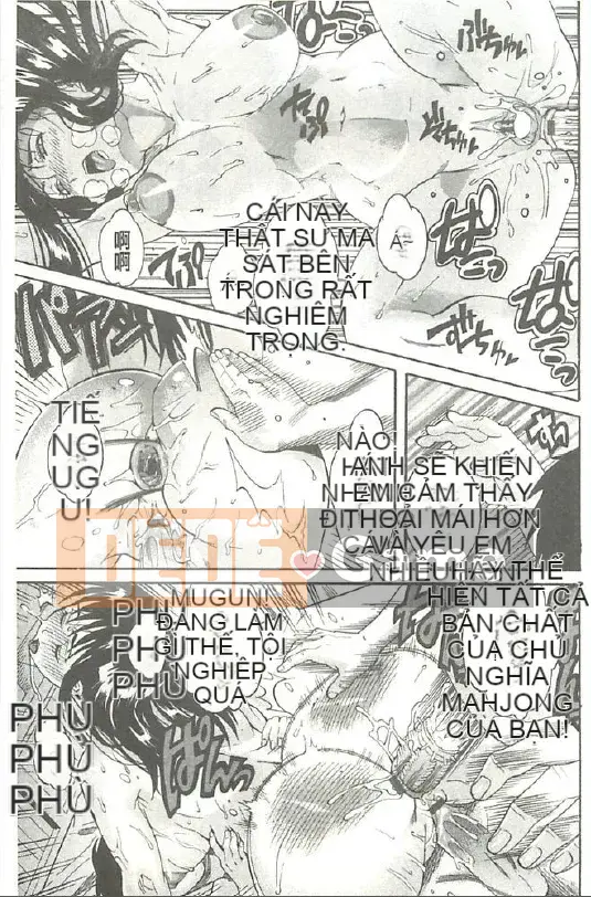 [Tamaki] Xoài Hojun