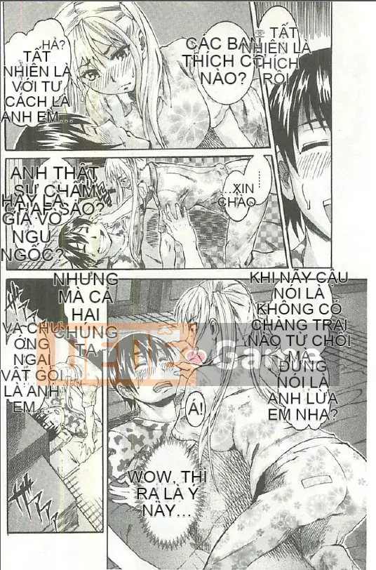 [Tamaki] Xoài Hojun