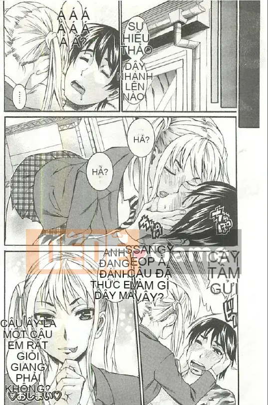 [Tamaki] Xoài Hojun