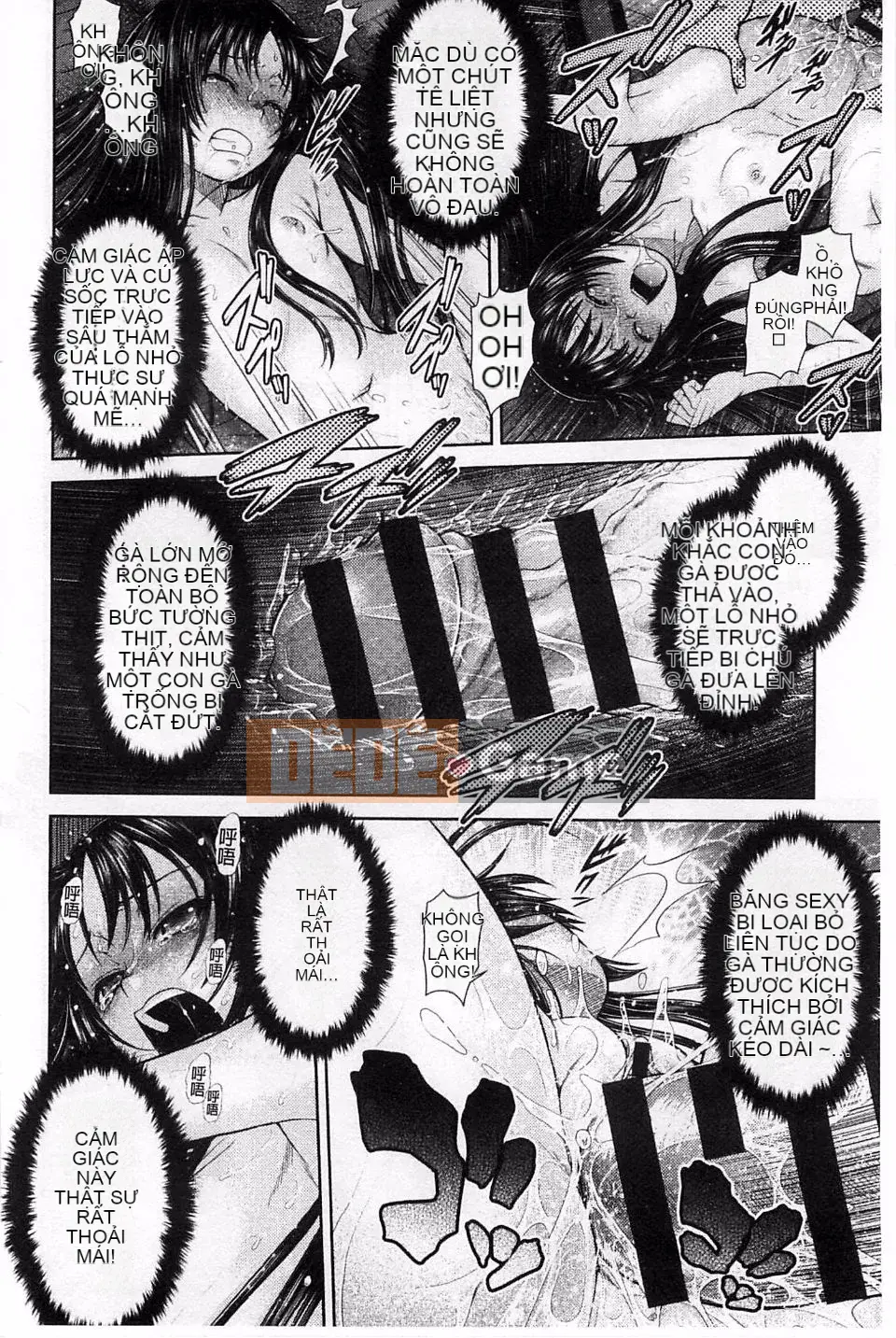 [Kouda Tomohiro] Lựa chọn Komekome