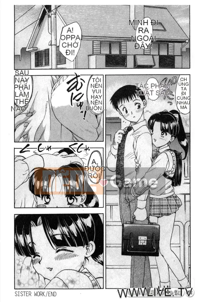 [Rồng bay hỗn loạn]_SISTER CÔNG VIỆC