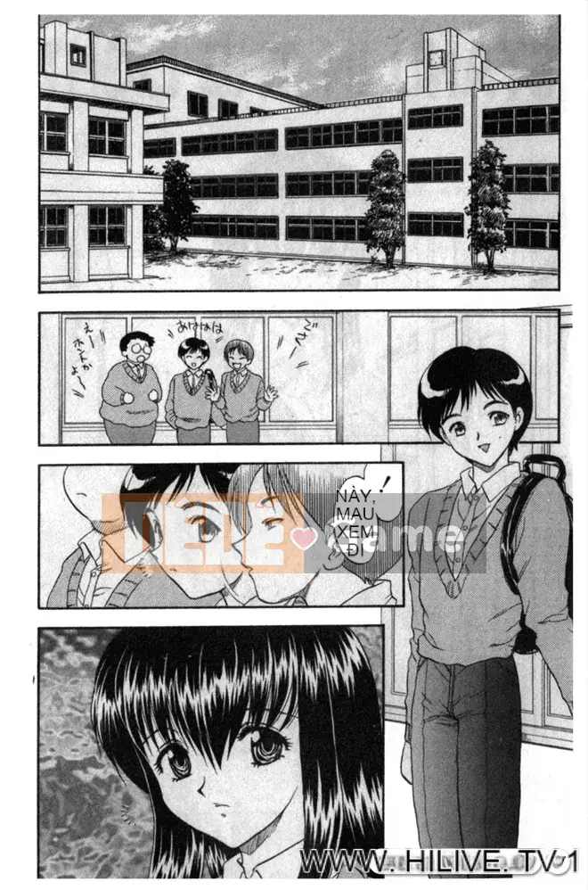 [Rồng bay hỗn loạn]_SISTER CÔNG VIỆC