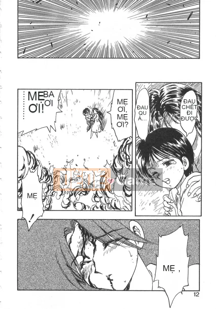 [Flying Dragon Chaos] dầu gội đầu