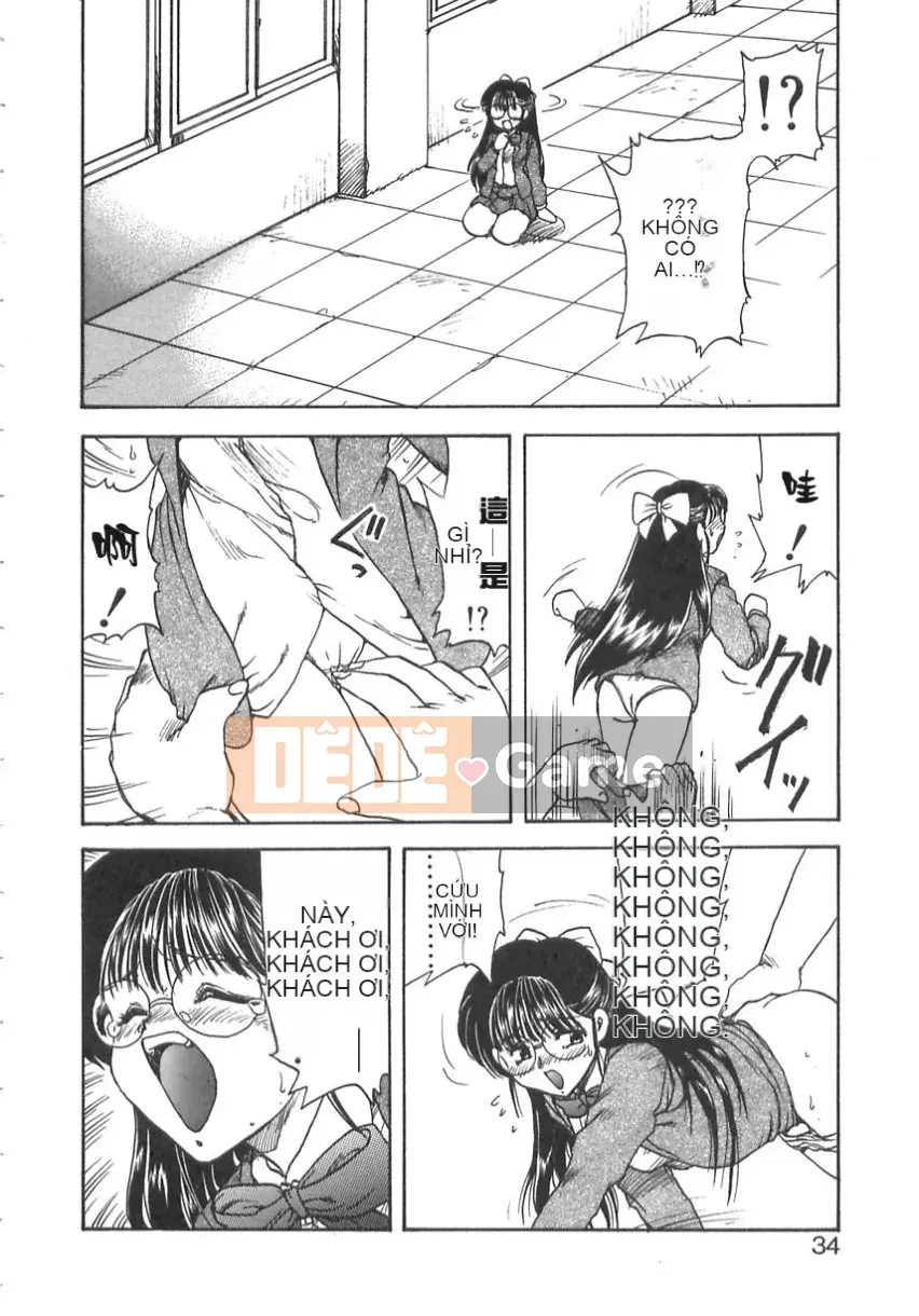 [Flying Dragon Chaos] dầu gội đầu